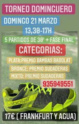 poster del torneo TORNEO DOMINGUERO