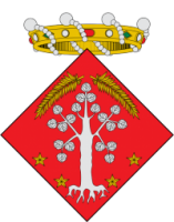 logo del club Club Vila de l'Albi