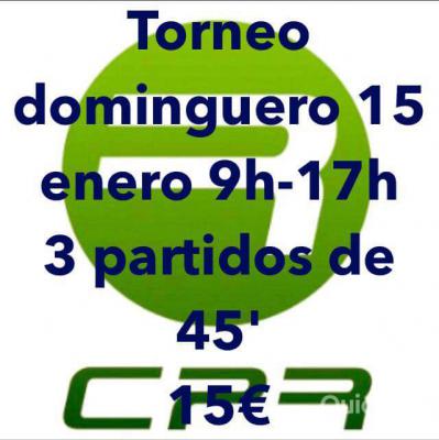 poster del torneo TORNEO DOMINGUERO
