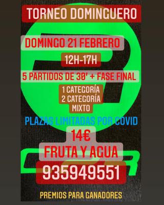 poster del torneo TORNEO DOMINGUERO