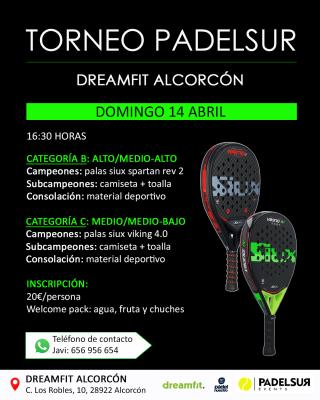 poster del torneo TORNEO PADELSUR CATEGORIAS B Y C